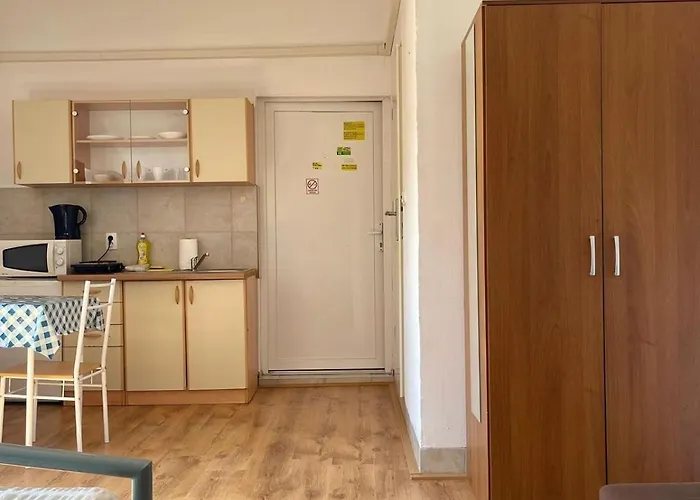 Dejan Apartment4-top Centar