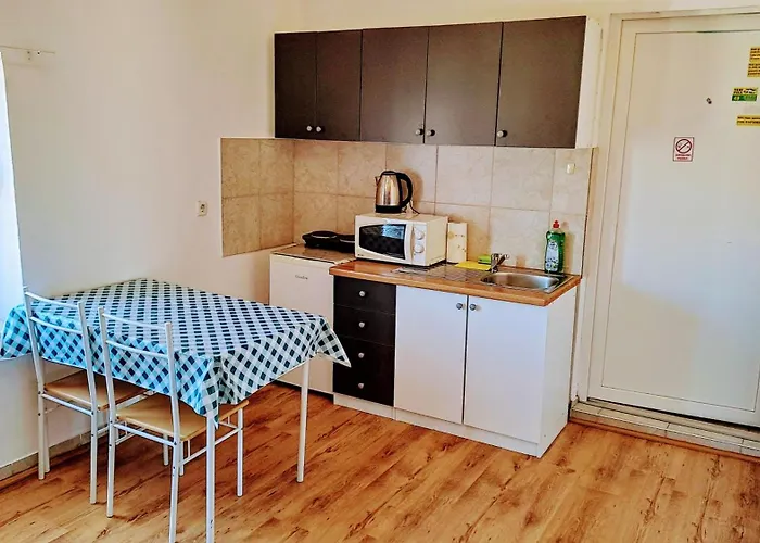 Dejan Apartment4-top Centar Apartament