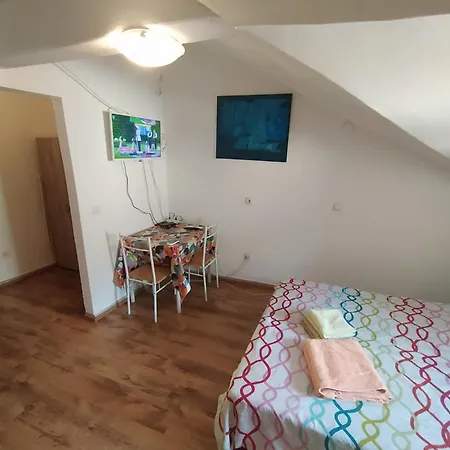 Apartmán Dejan Apartment4-top Centar